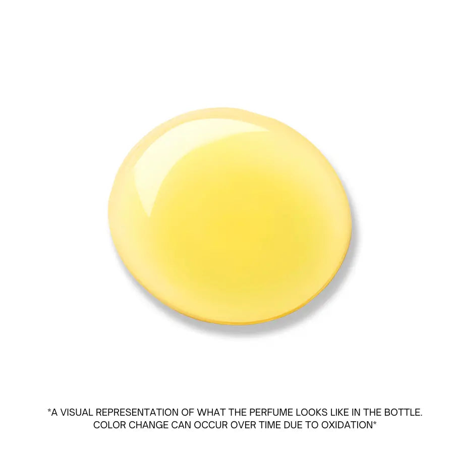 Beirut Cafe artisanal perfume oil bottle with coffee rose scent, alcohol-free, by Ibn Al Jebouri Perfumes